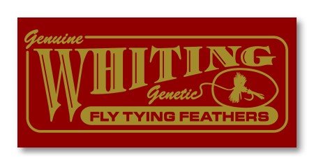 Whiting Bird Fur