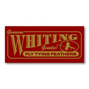 Whiting Bird Fur