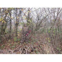 Deerhunter Sneaky 3D st