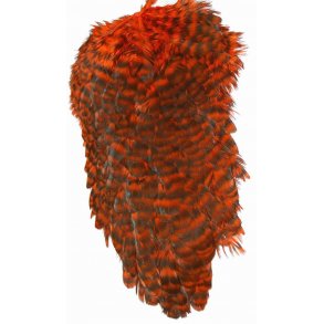 FF American Hen Saddle - Grizzly orange