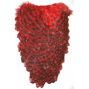 FF American Hen Saddle - Grizzly red