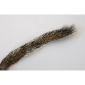 Egern hale - Natural grey