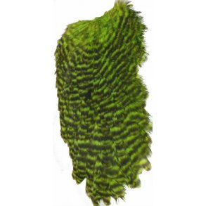 FF American Hen Saddle - Grizzly fl. green/ Chartr