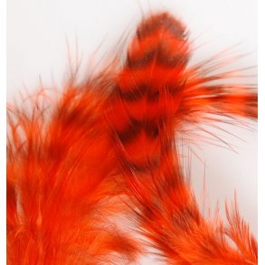 Metz Soft hackler - Grizzly hot orange