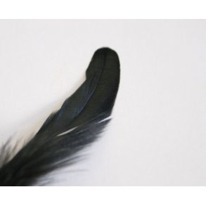 Schlappenfjer - Black