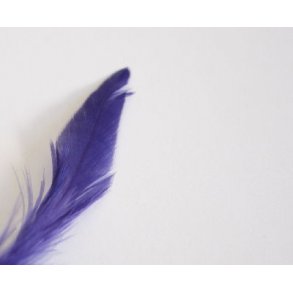 Schlappenfjer - Purple