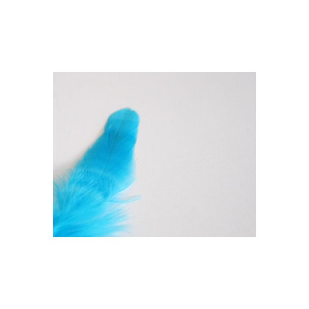 Schlappenfjer - Kingfisher blue