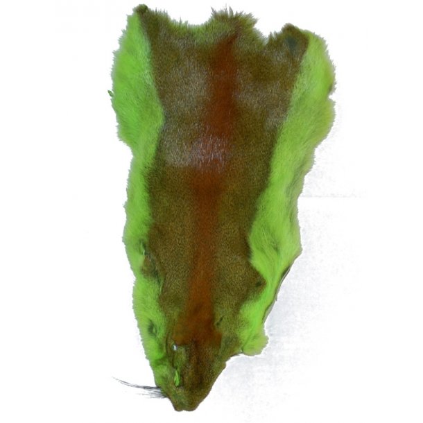 Egern skind - Chartreuse