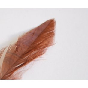 Schlappenfjer - Brown