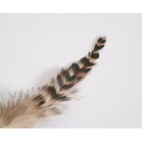 Schlappenfjer - Grizzly