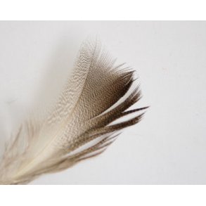 Bronze Mallard medium