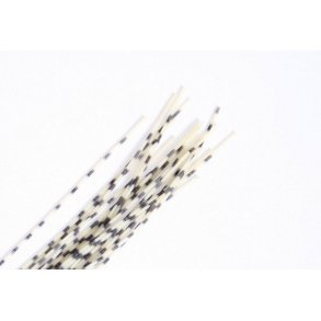 Barred round rubberlegs - Natural