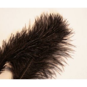 Mini Salar Struds - Black