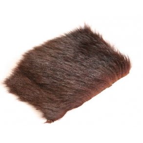 Australian opossum body - Brown