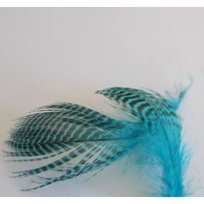 Teal flankefjer - Kingfisher blue