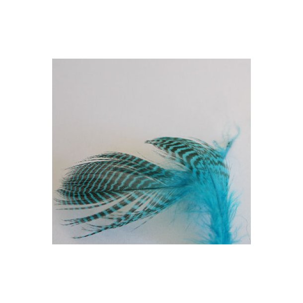 Teal flankefjer - Kingfisher blue