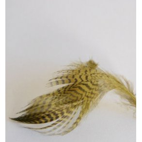 Teal flankefjer - Olive