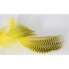 Teal flankefjer - Fl. Yellow