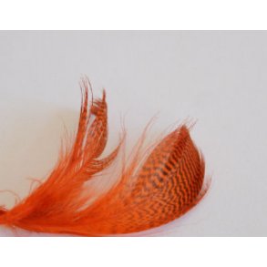 Teal flankefjer - Burnt orange