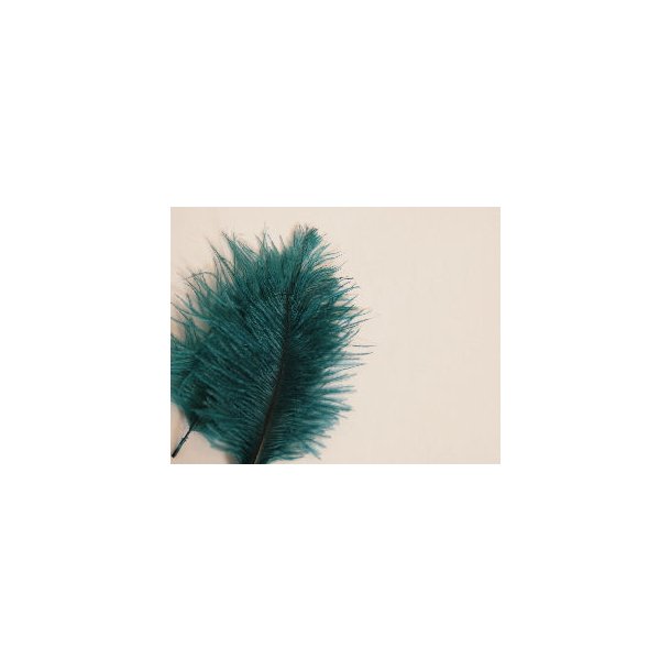 Mini Salar Struds - Dark Blue
