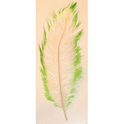 Spirit River UV2 Tip dyed strudse herls - lille