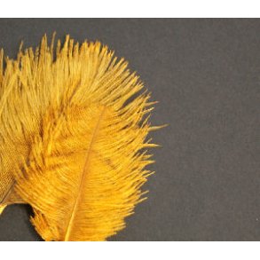 Mini Salar Struds - Golden