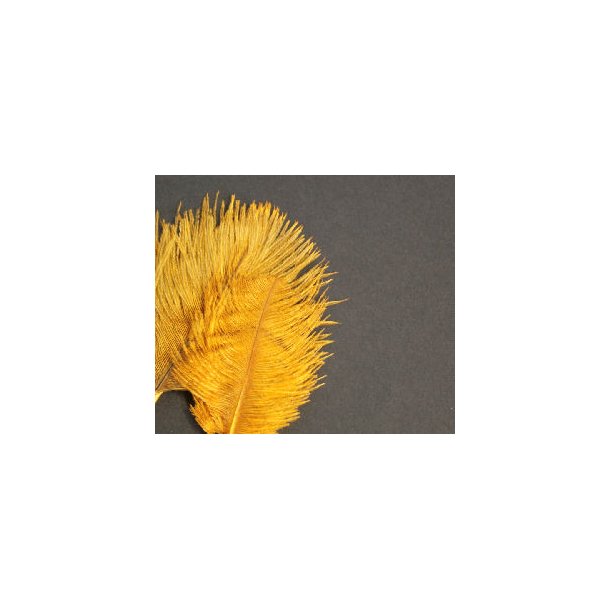 Mini Salar Struds - Golden