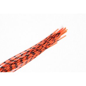 Barred round rubberlegs - Fl. Orange