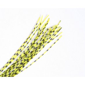 Barred round rubberlegs - Fl. Orange