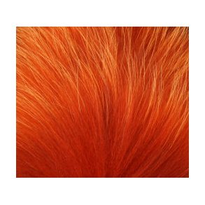 FF Tanuki - Dark Ginger