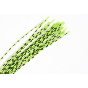 Barred round rubberlegs - Fl. Green