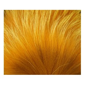 FF Tanuki - tawny oliver