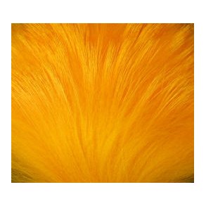 FF Tanuki - Sunburst