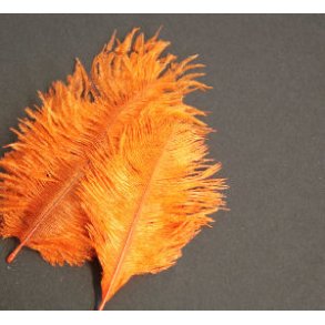 Mini Salar Struds - Orange