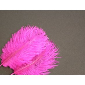 Mini Salar Struds - Purple