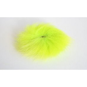 Polarr�v - Chartreuse