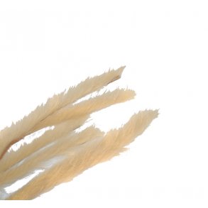 Kaninstrips 3mm - Tan