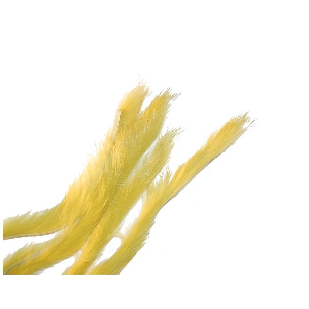 Kaninstrips 3mm - Golden Olive