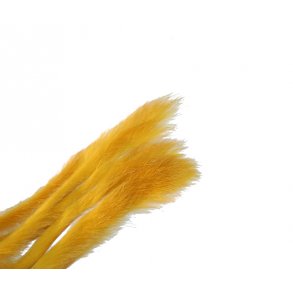 Kaninstrips 3mm - Golden Sunburst