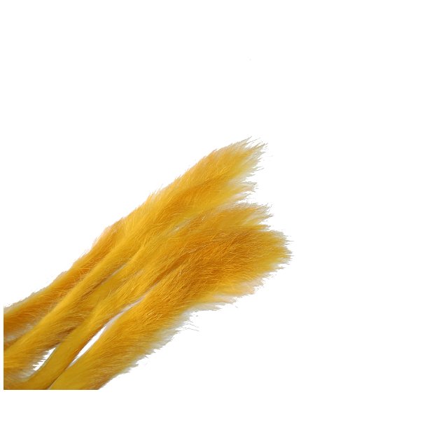 Kaninstrips 3mm - Golden Sunburst