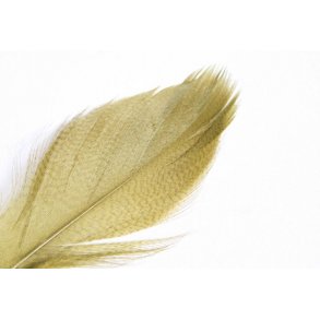 Mallard Barred - Olive