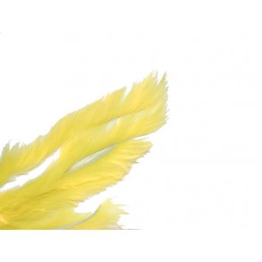 Kaninstrips 3mm - Fl. Yellow