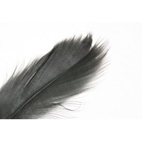 Mallard Barred - Black