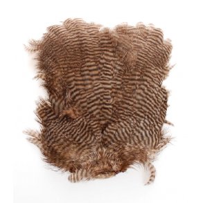 American Hen Back Magnum - Grizzly Olive