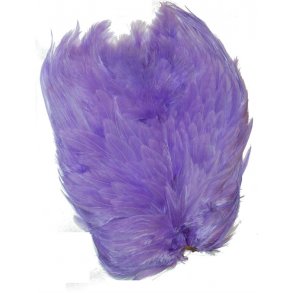 American Hen Back Magnum - Purple