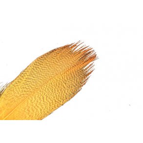 Mallard Barred - FL. Orange