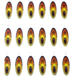 Futurefly AW Bird Eyes - small