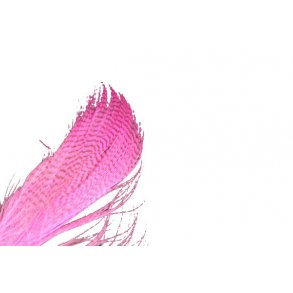 Mallard Barred - FL. Pink