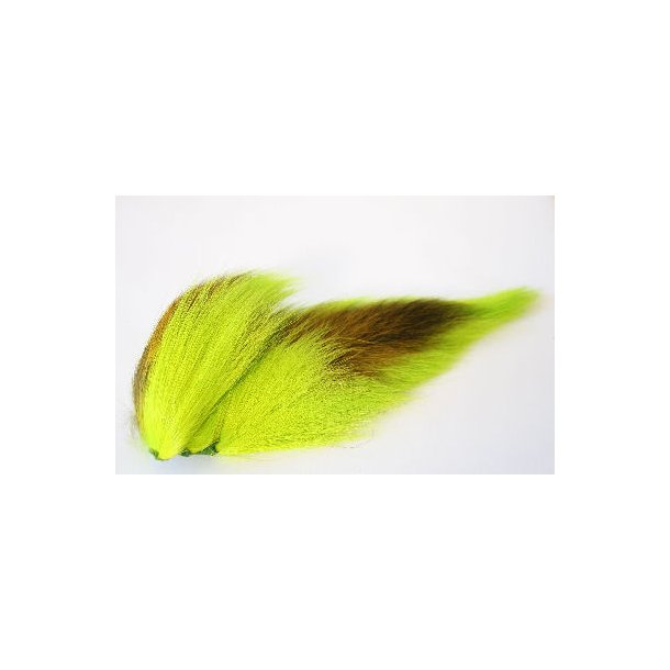 Bucktail - Fl. Chartreuse