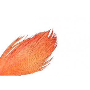 Mallard Barred - FL. Fire Orange